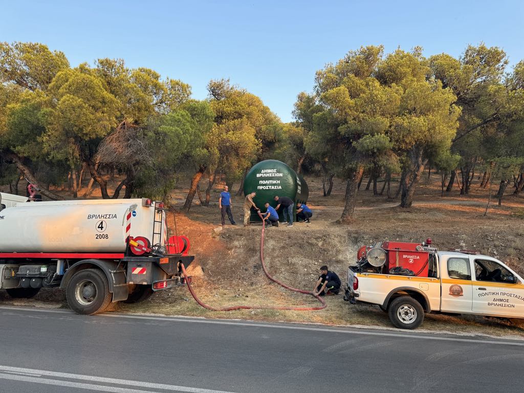 31e53369 b554 4dcb bbb5 7a4c20f4cb86 1