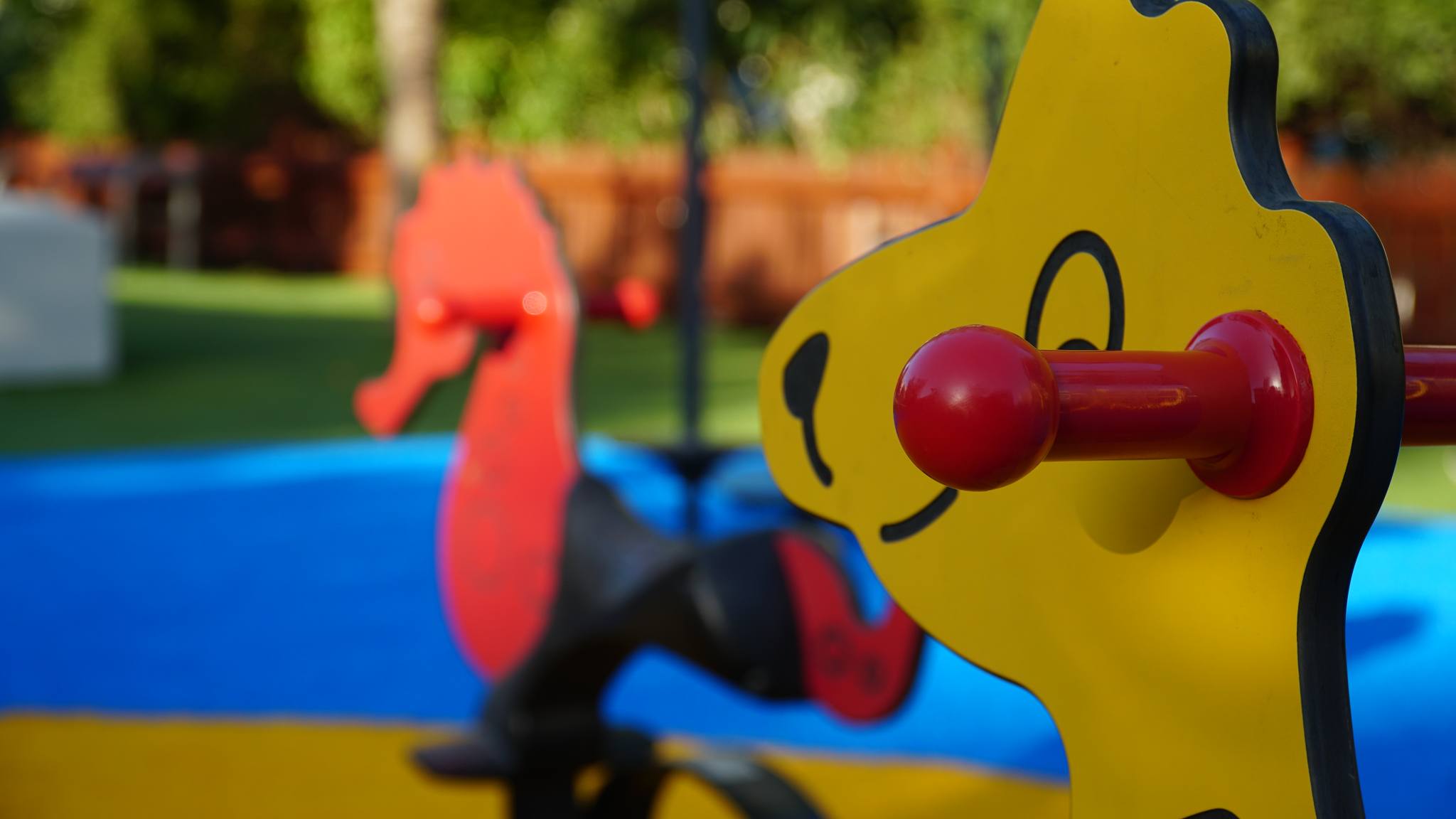 449284004 809723957931903 6155225138399812403 n