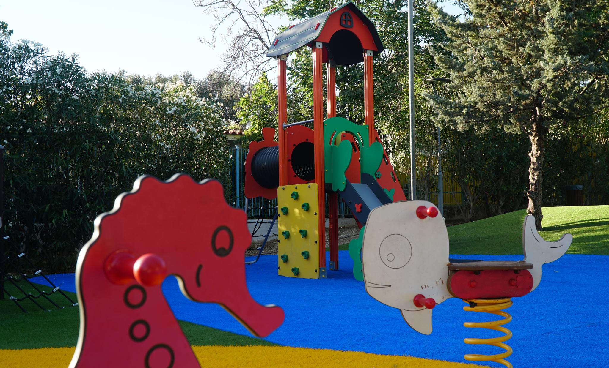 449284967 809724111265221 617677548896712167 n