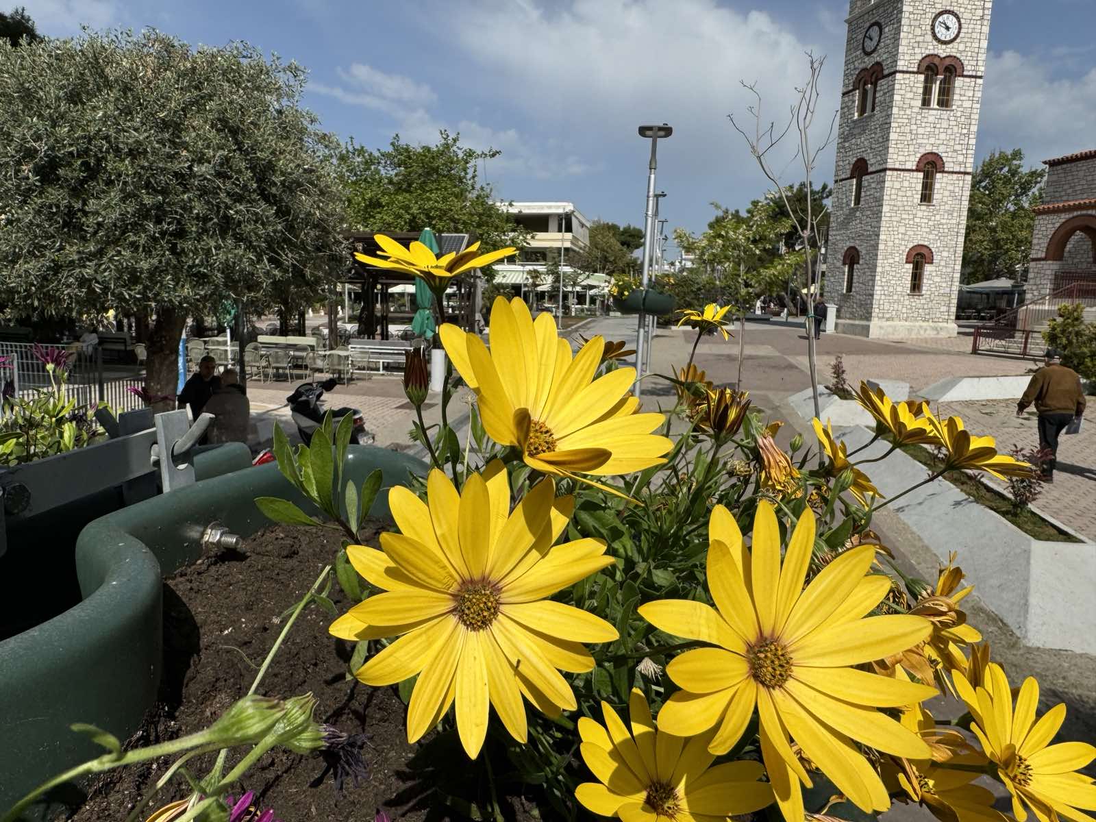 491684363 1008038521433778 4474724776509385401 n