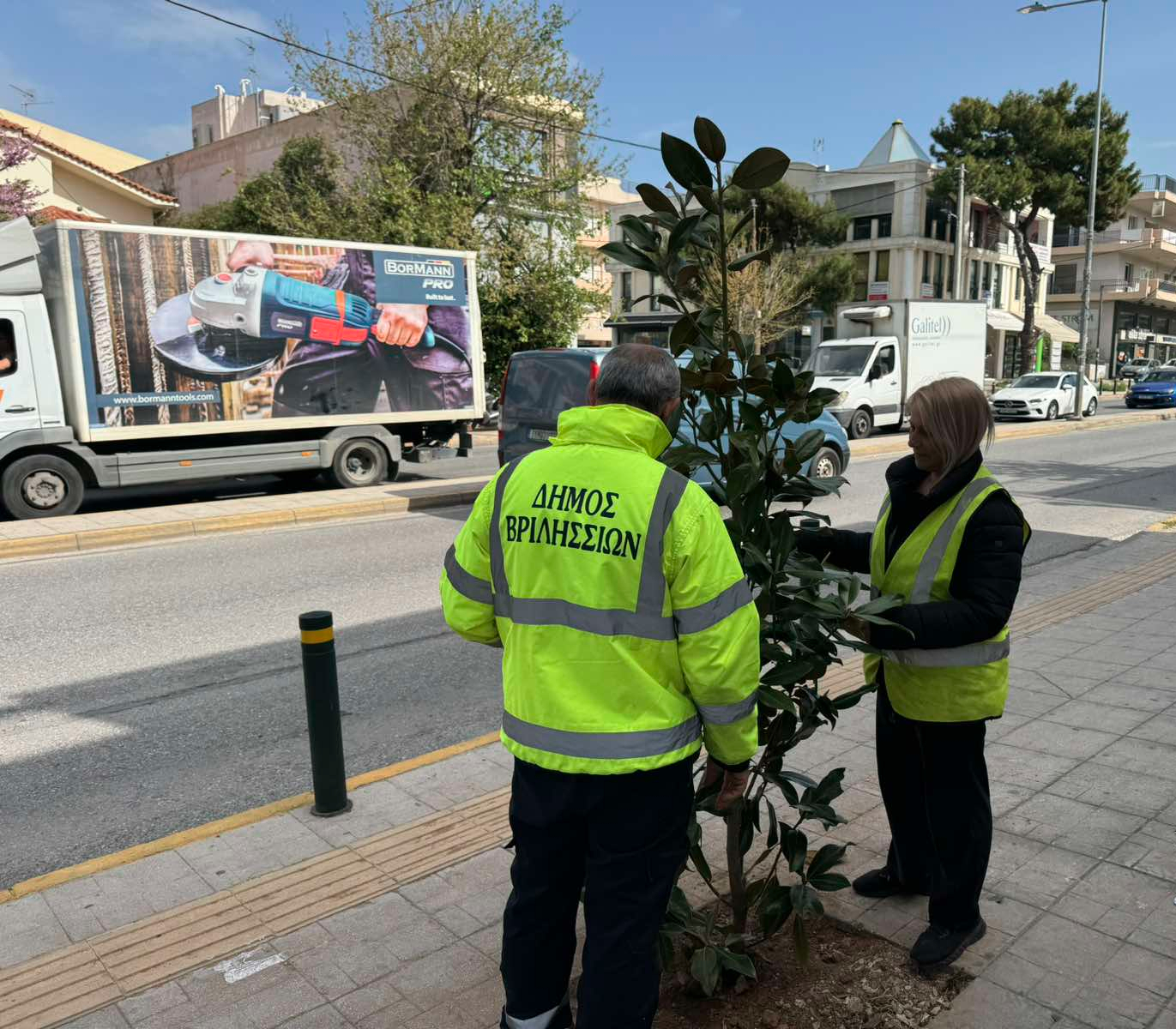 491807069 1008045394766424 3315118930121132921 n