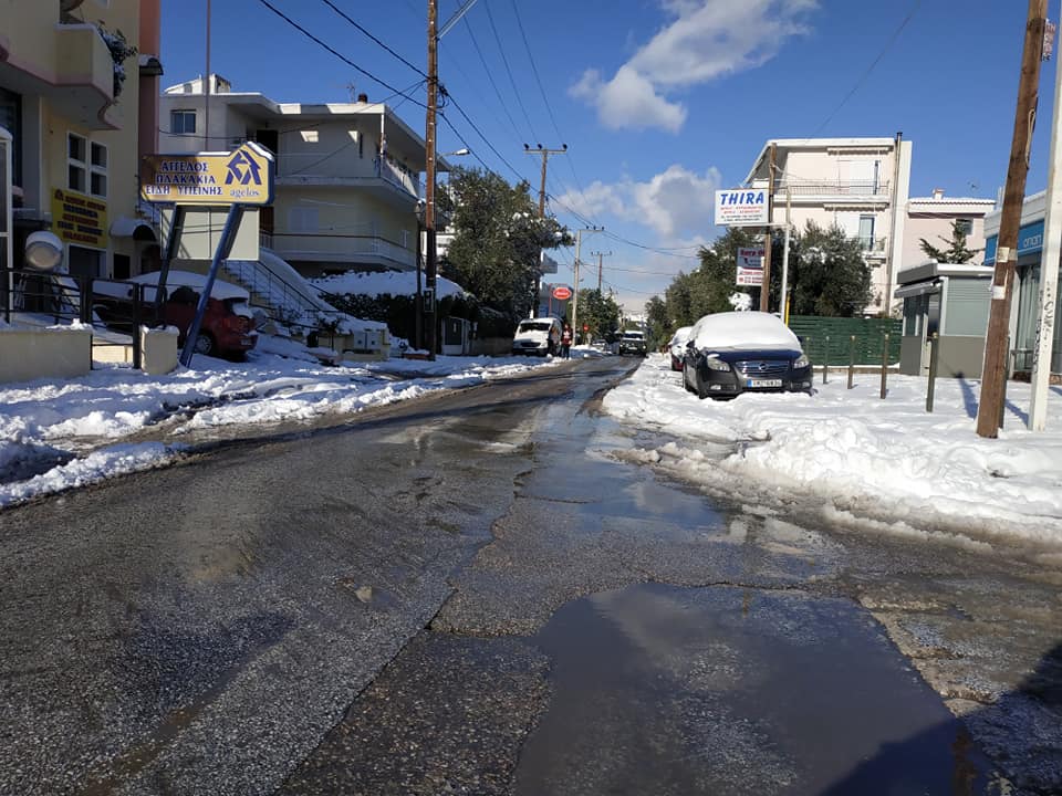 49701185 2707934255920202 3306128441341902848 n