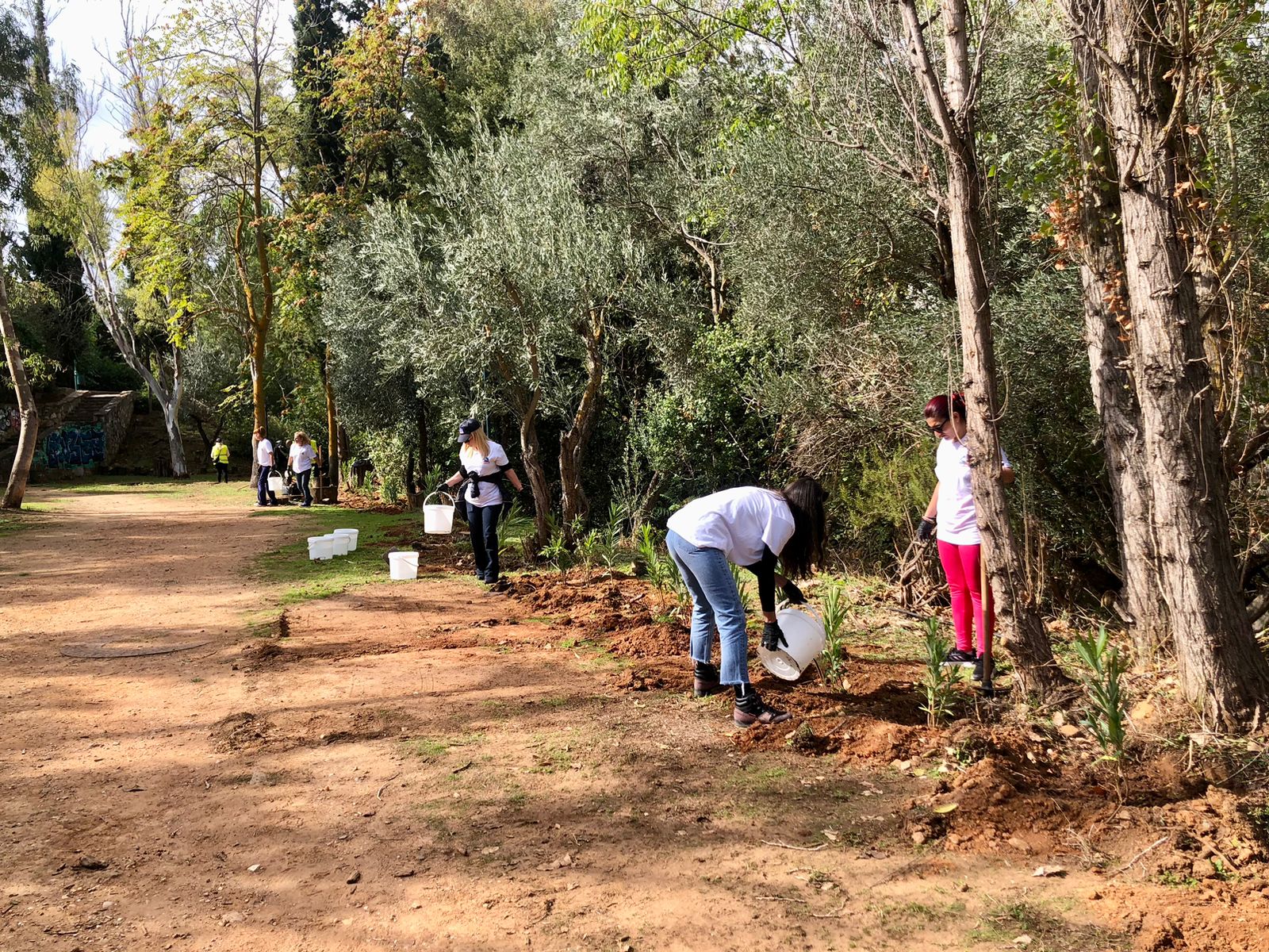 560548606 1152524713651824 8420596584969473981 n