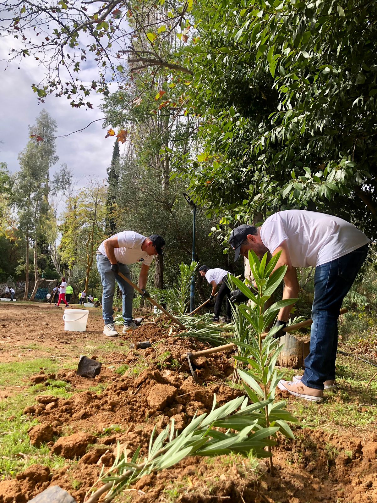 565112159 1152524496985179 1253922461721076636 n 1