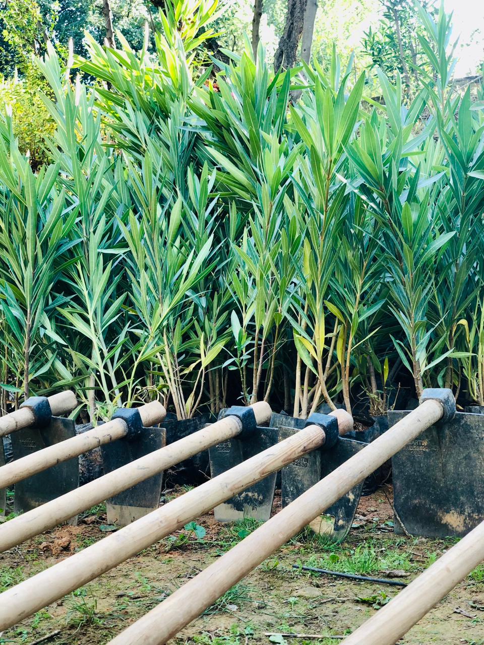 567653263 1152524363651859 6375315842045496678 n 2