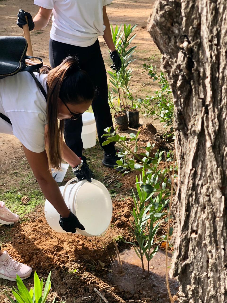 568904405 1152524216985207 5372600760535215296 n 1