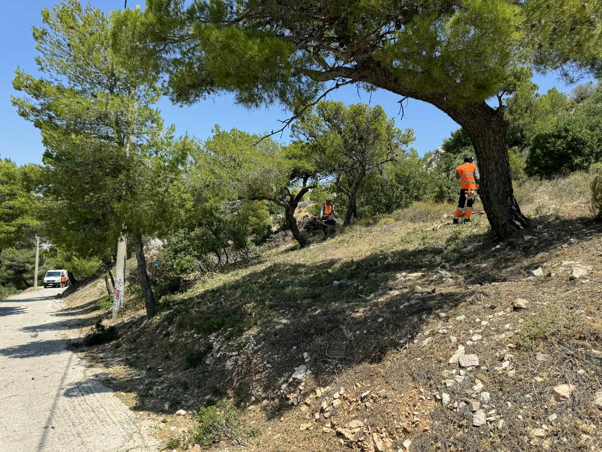 927c0e2d bb31 43e0 959f 982c5b7846c8