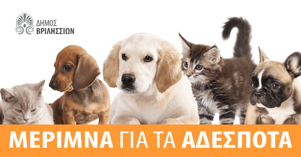 Δήμος Βριλησσίων