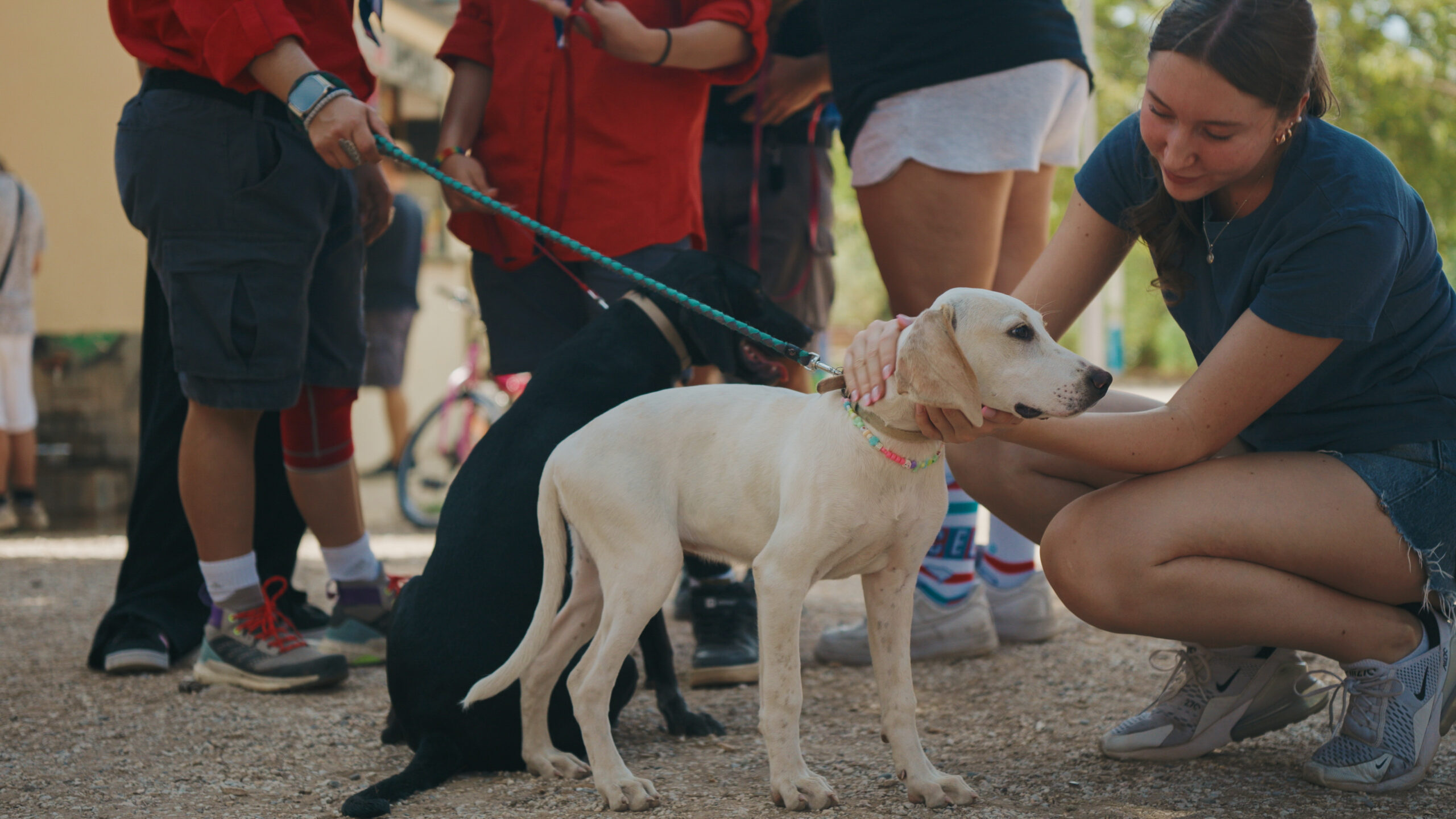 Still 2025 09 16 131032 1.13.1 2