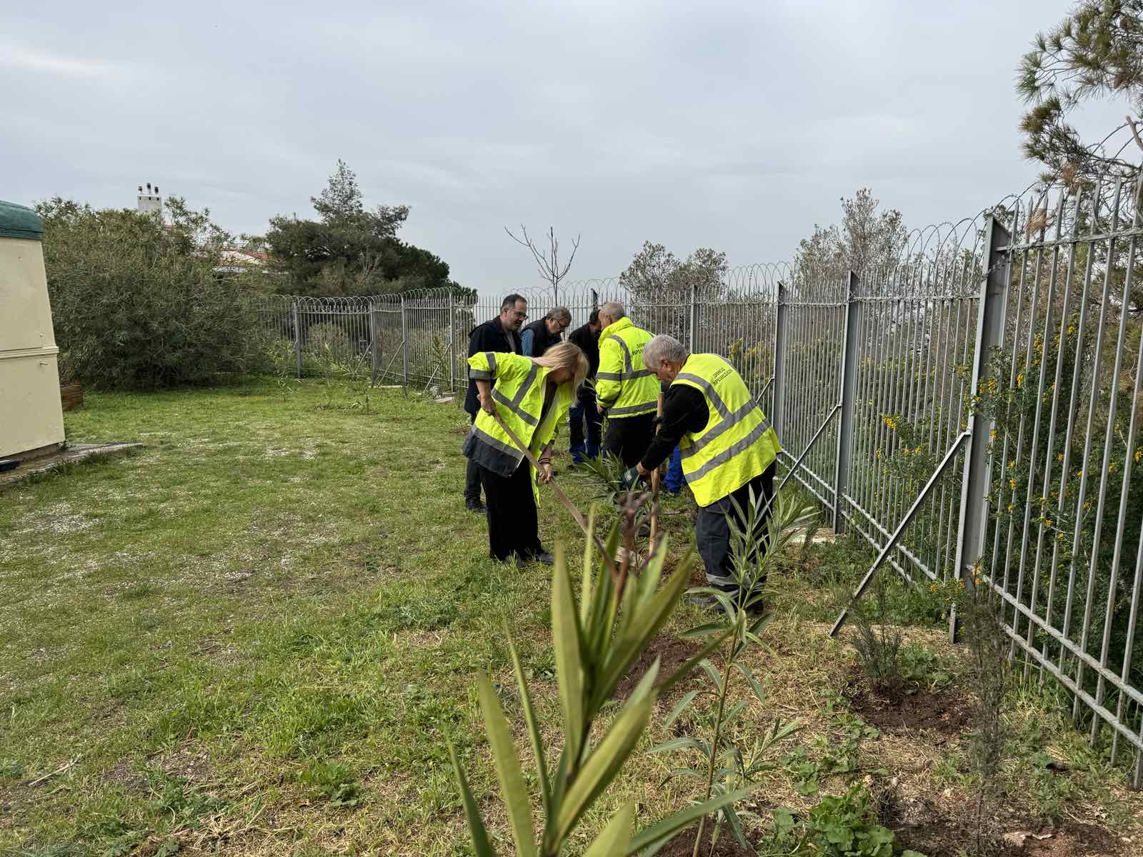 viber image 2025 03 22 14 21 14 935