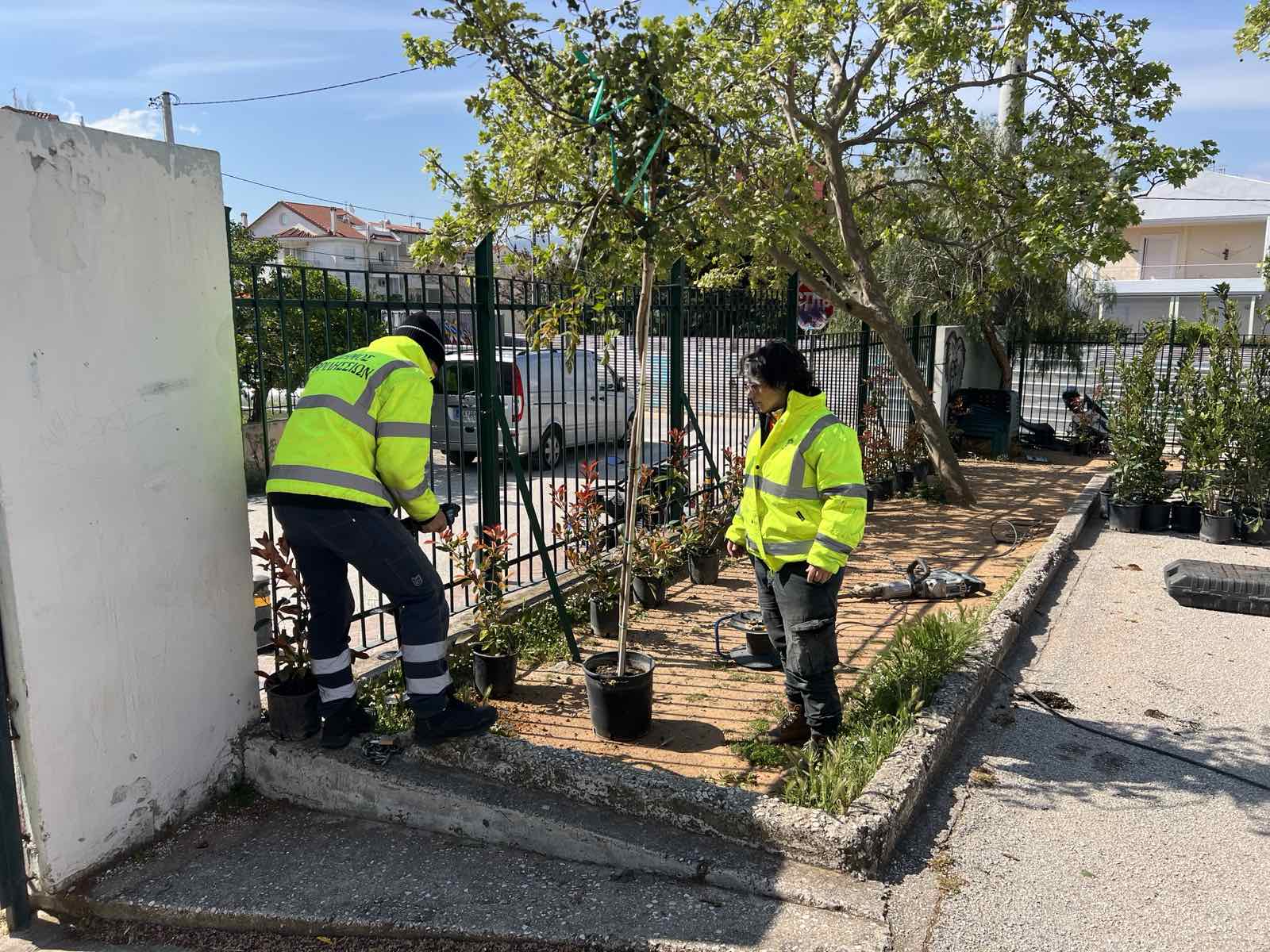 viber image 2025 04 11 11 43 54 204